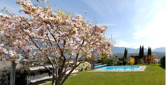 Garni Gartenheim Caldaro Εξωτερικό φωτογραφία